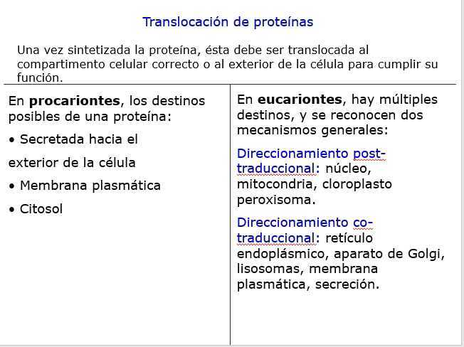 Translocacion Proteinas