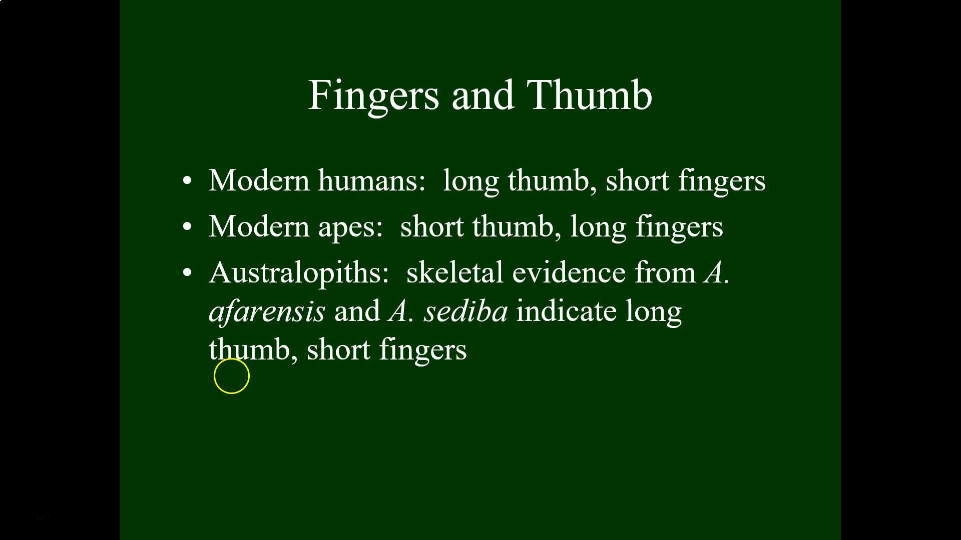 Australopith Positional Repertoire (Episode II)