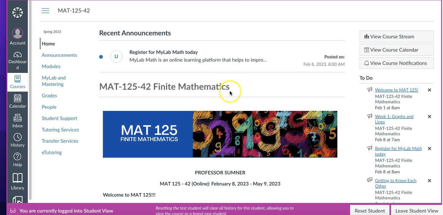 mat-125-canvas-course-overview