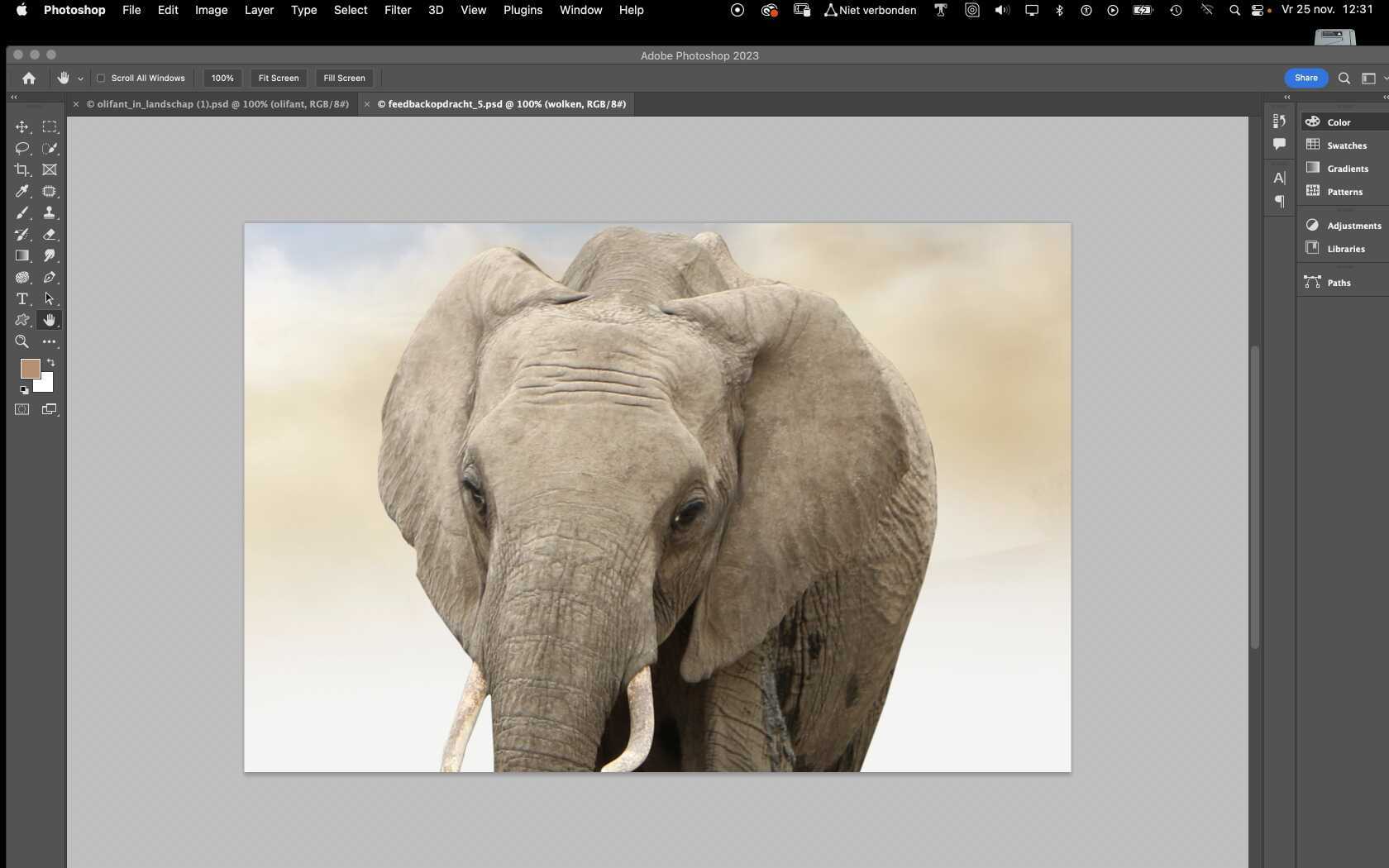 PS_Loi_Photoshop mixer brush
