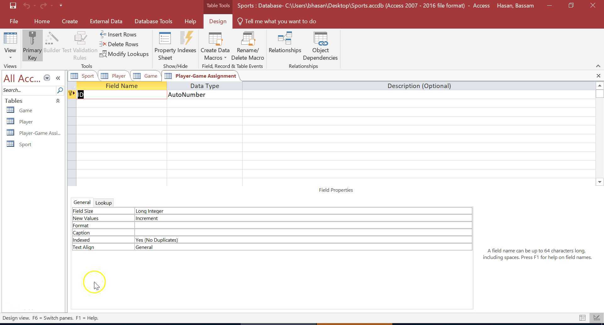 DB-MS Access 3