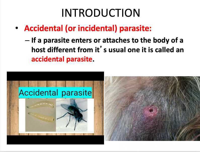 parasitology-ppt-1-intro-slides-12-16