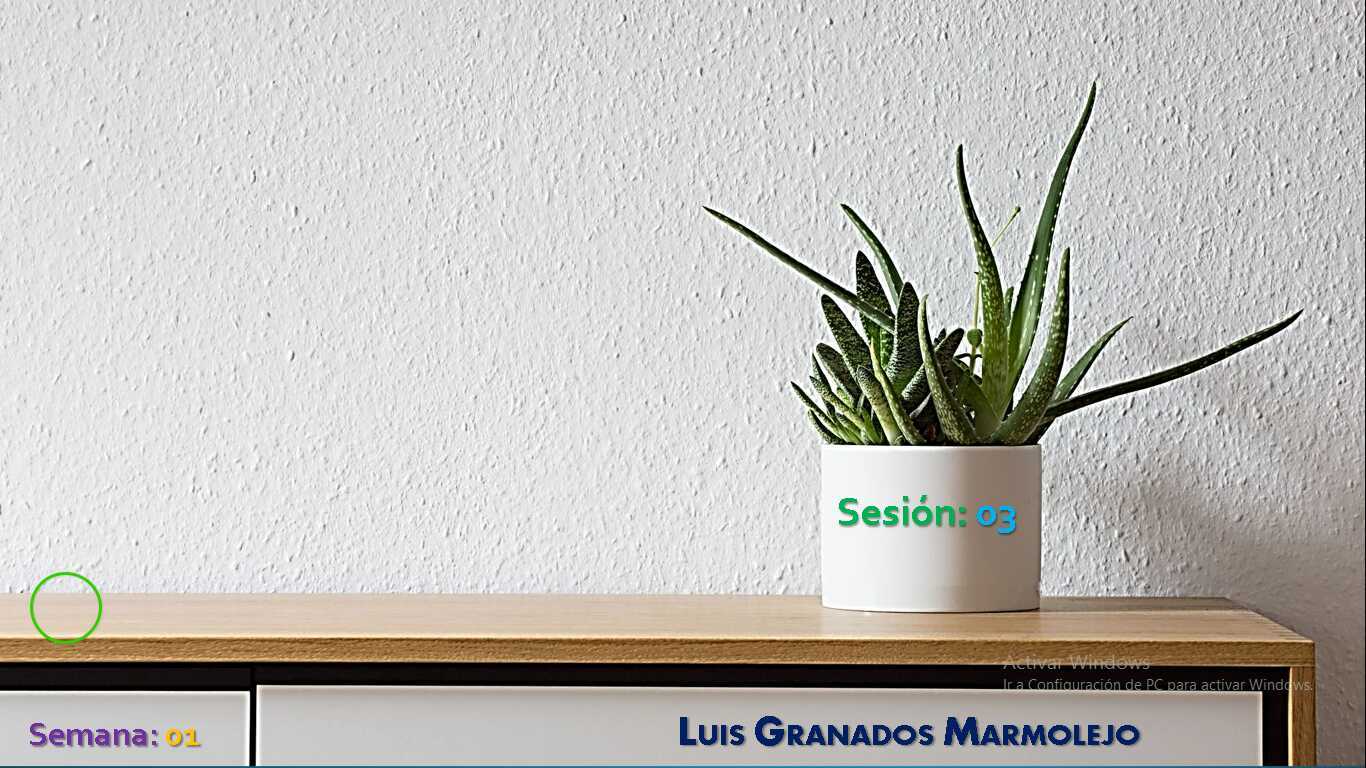 GUÍA POWER BI_S3_LMGM_2023