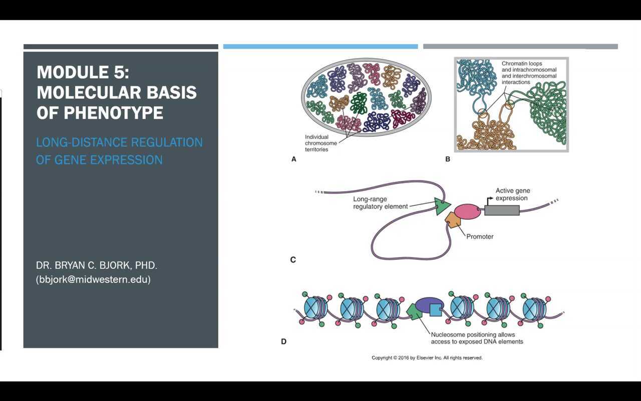Module 5 Lecture 3 2022 - Long-distance gene regulation - Aug 2022