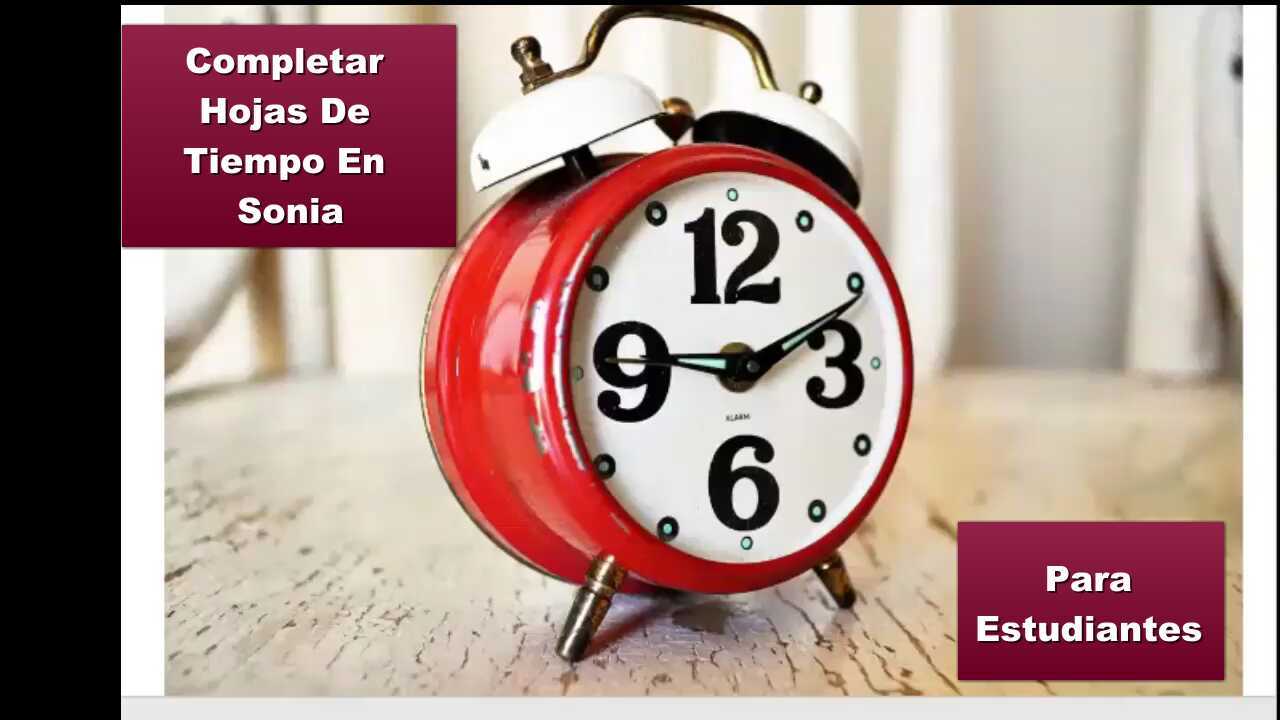 HojasDe Tiemp En Sonia Para Estudiantes (Entering