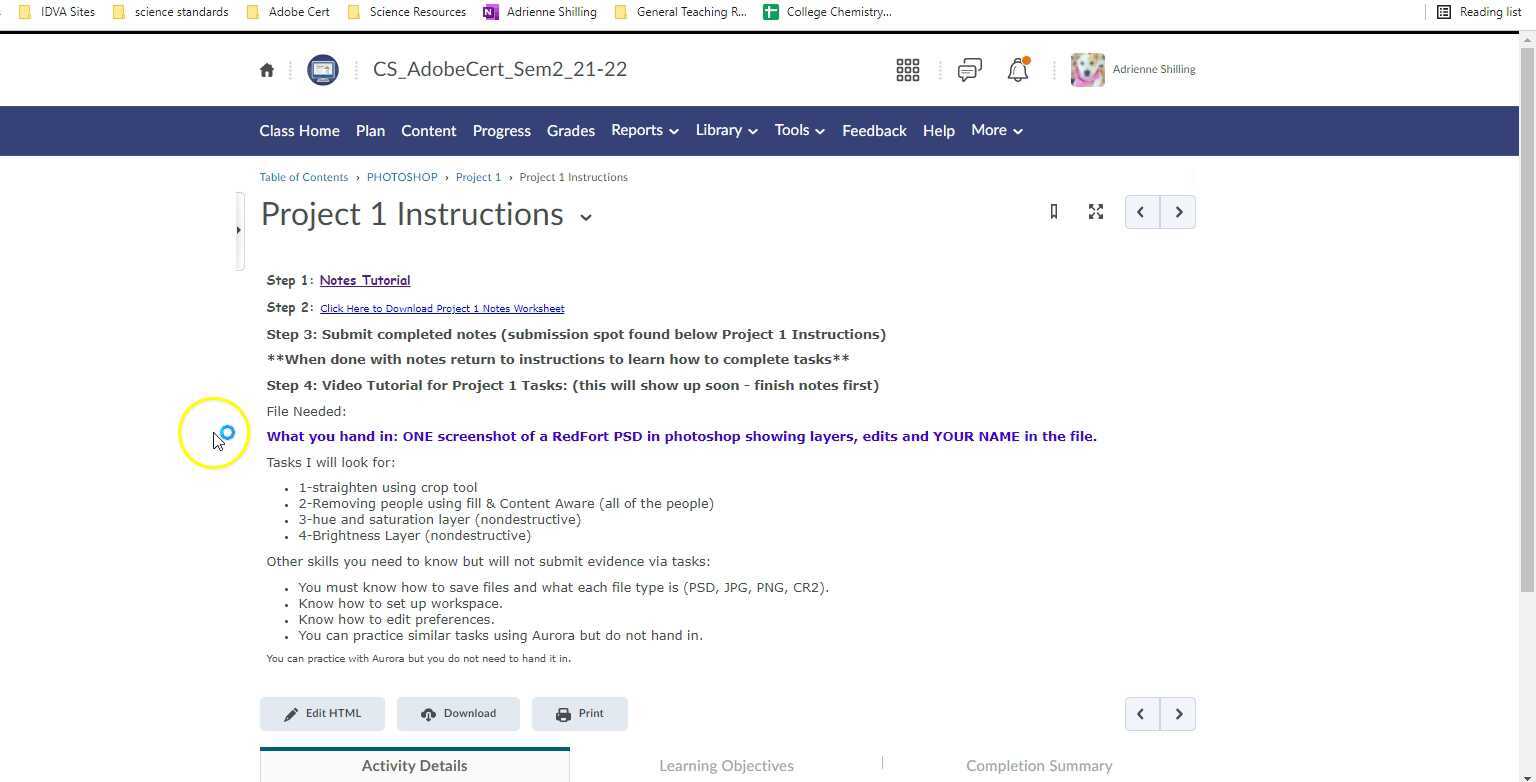 Project 1 Tasks Tutorial