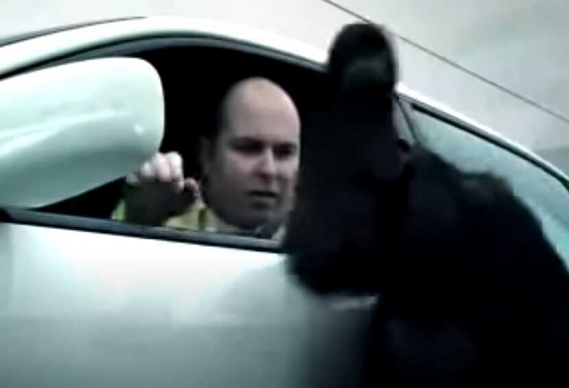 Trunk Monkey Road Rage