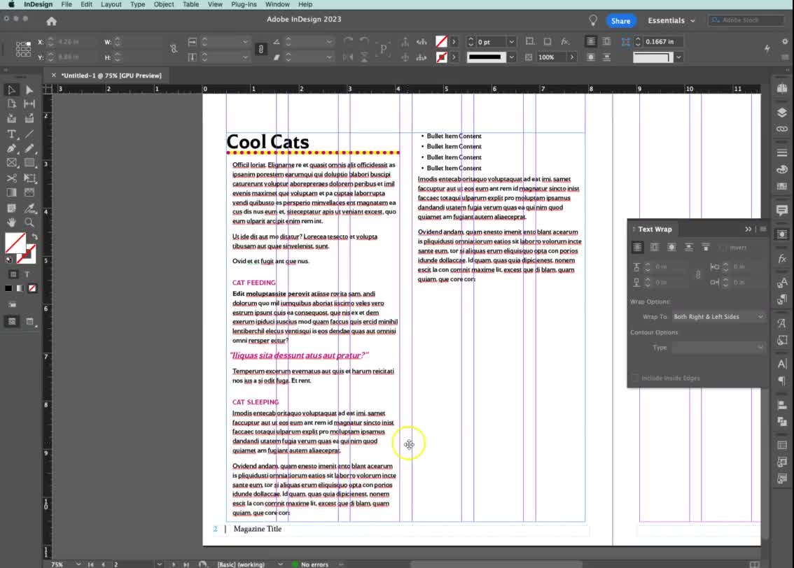 Adobe InDesign Image Placement & Formatting