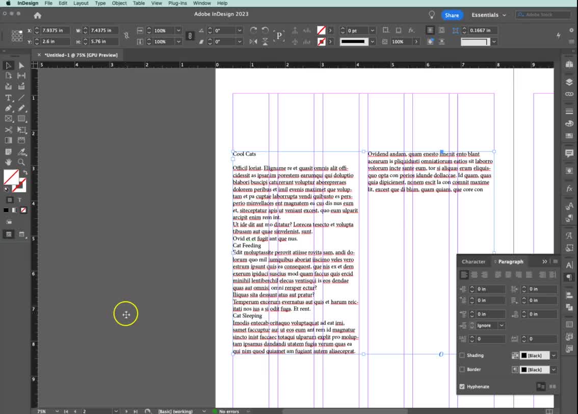 Adobe InDesign Text Styles