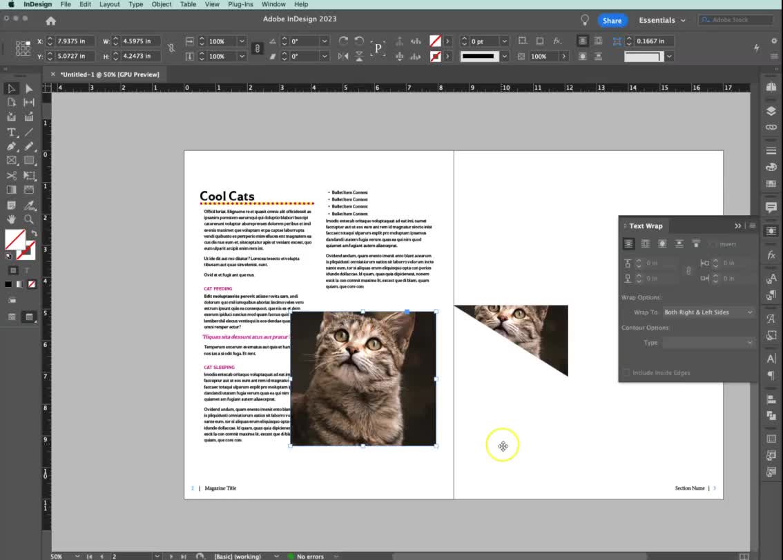 Adobe InDesign Text Wrap