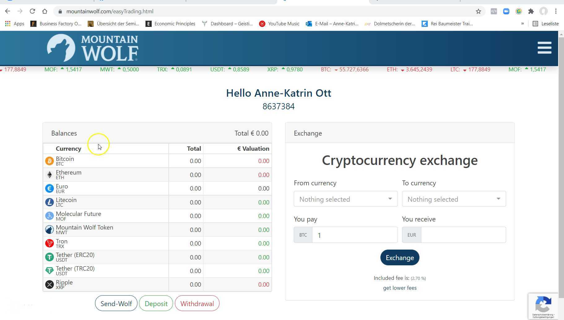 Transfer/Auszahlung von Mountain Wolf