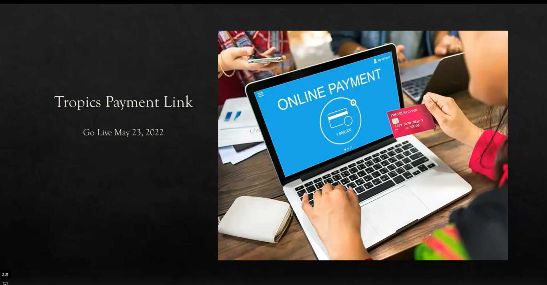 Payment Link update