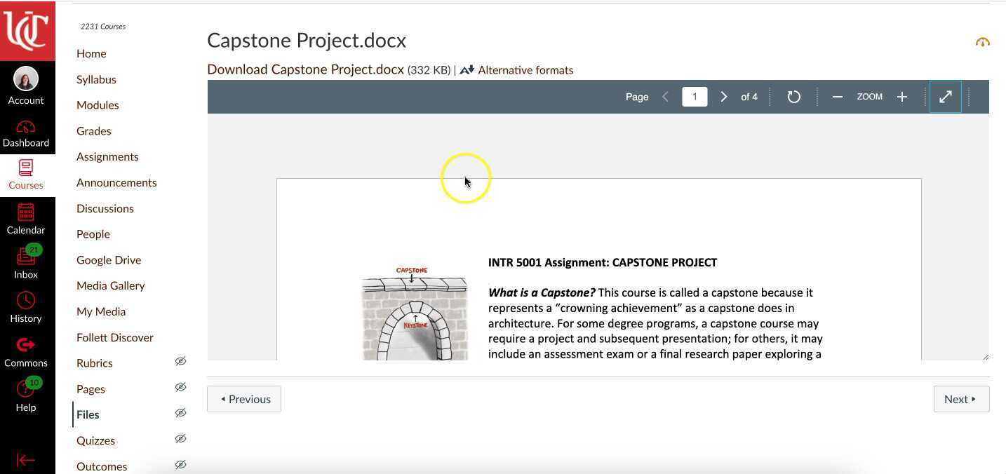 5001 Spring 2023 Capstone Overview
