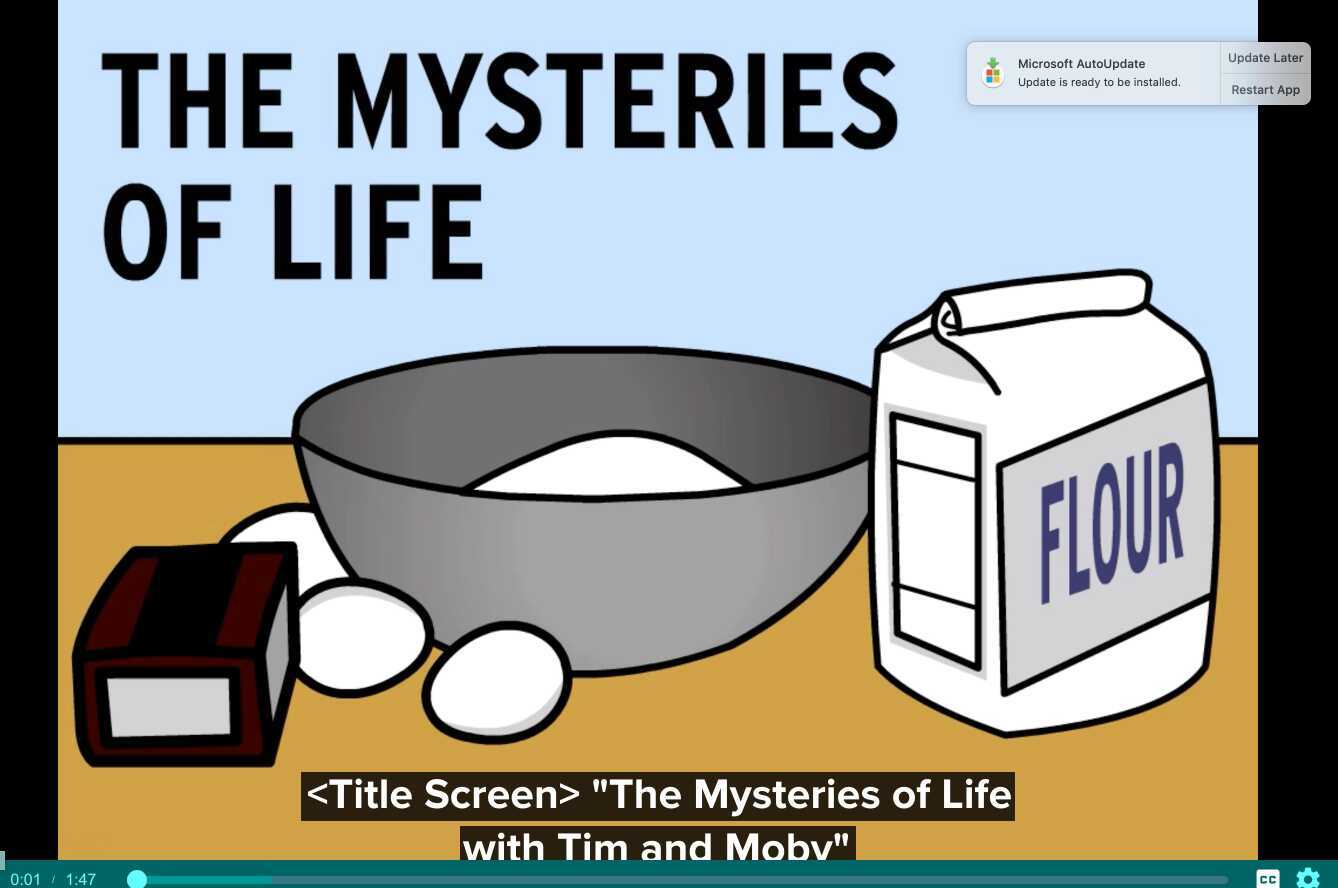 Compounds & Mixtures Brain POP