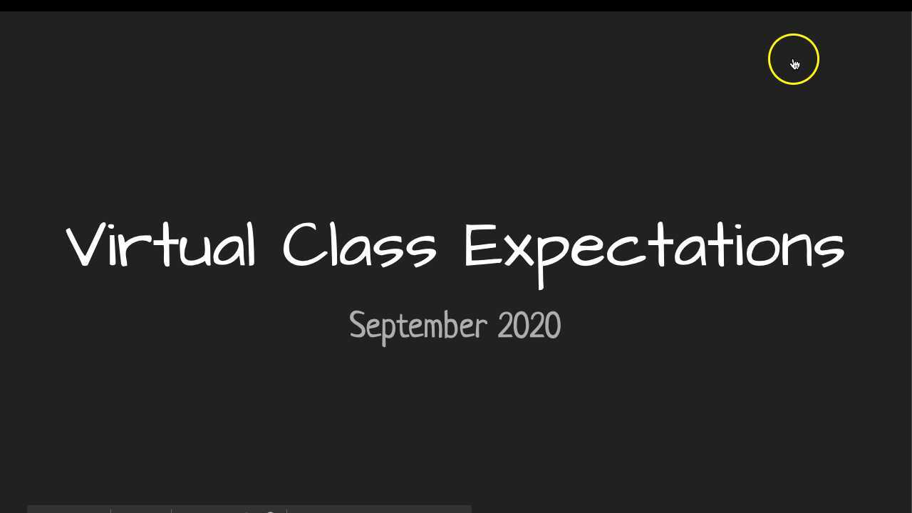 Virtual Class expectations