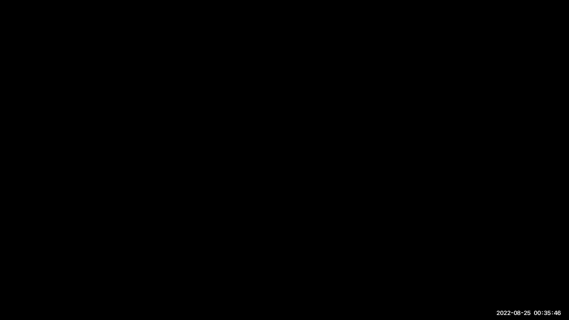 ll-alg-2-8-24-prop-of-exp