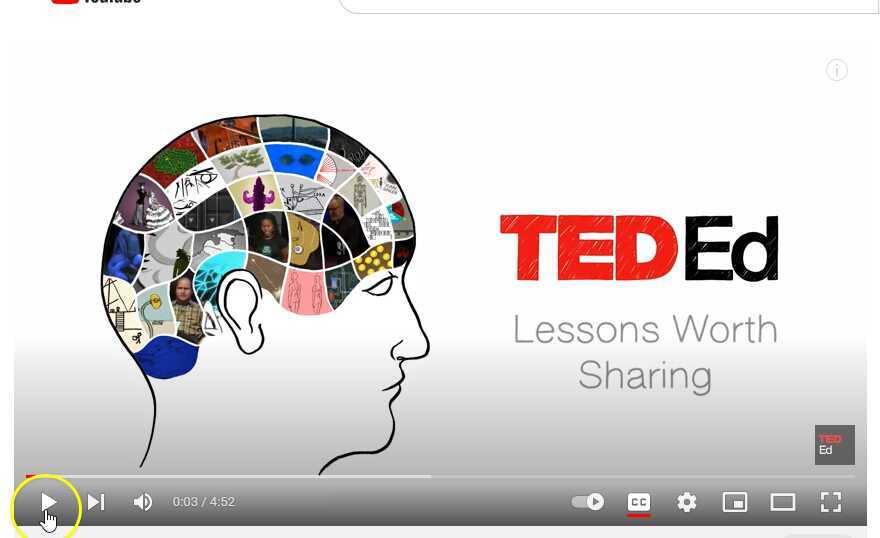 How Food Affects Your Brain CC