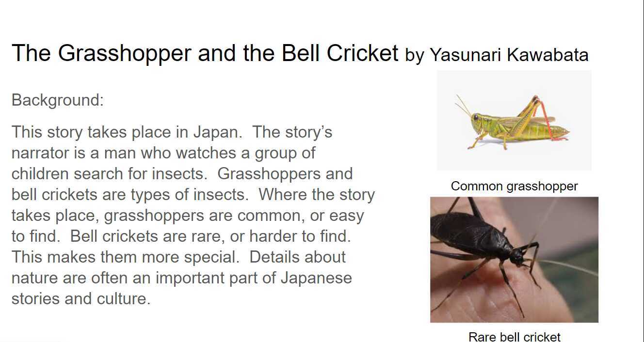 bell cricket