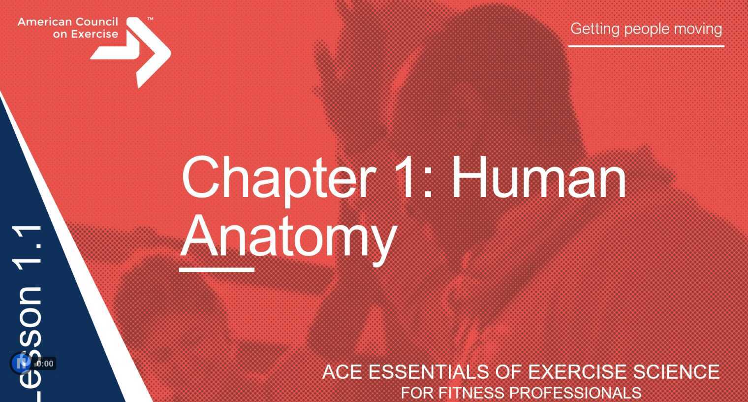 Chapter 1 Video 1 Opener And Anatomical Positions 5946