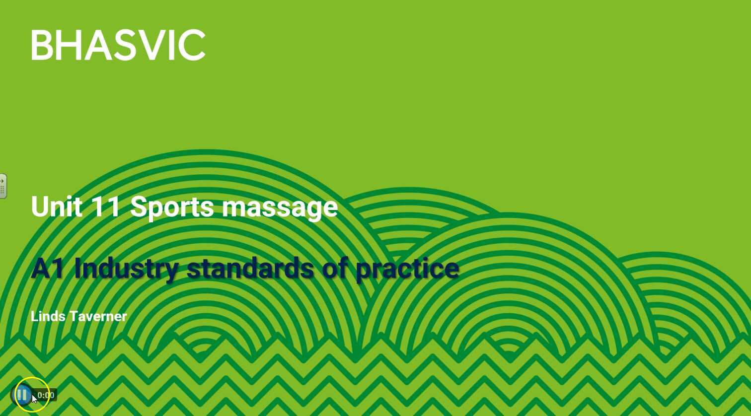 11 1 A1 Standards Of Practice