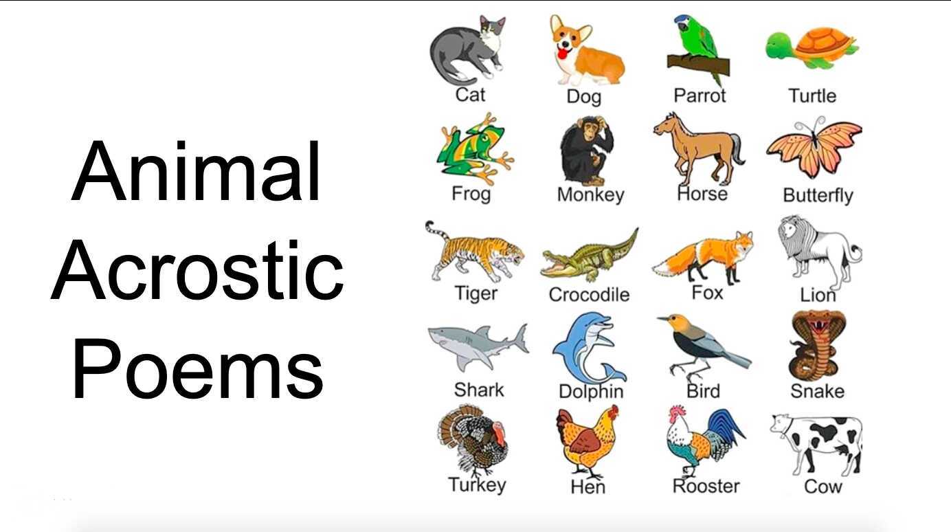 Animal Acrostic Poem