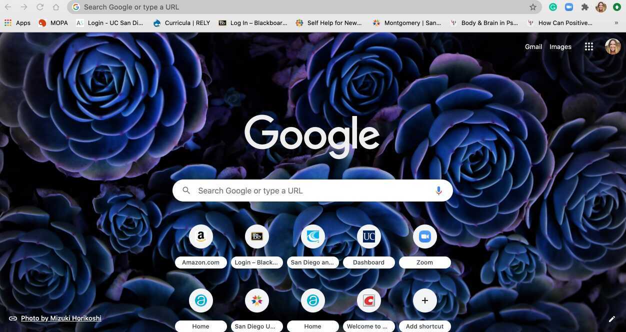How To Create And Share A Folder In Google Drive how-to-create-and-share-a-folder-in-google-drive
