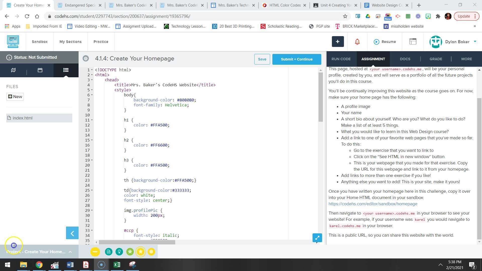 Website Design - CodeHS: Unit 4 upload your Homepage