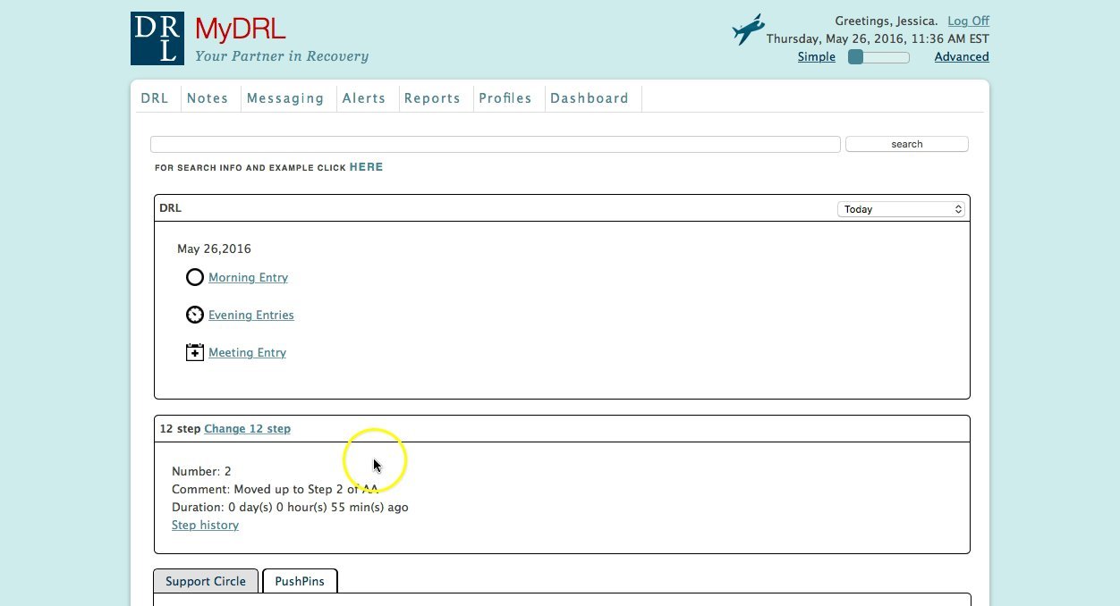 MyDRL - Filling out DRL Entry