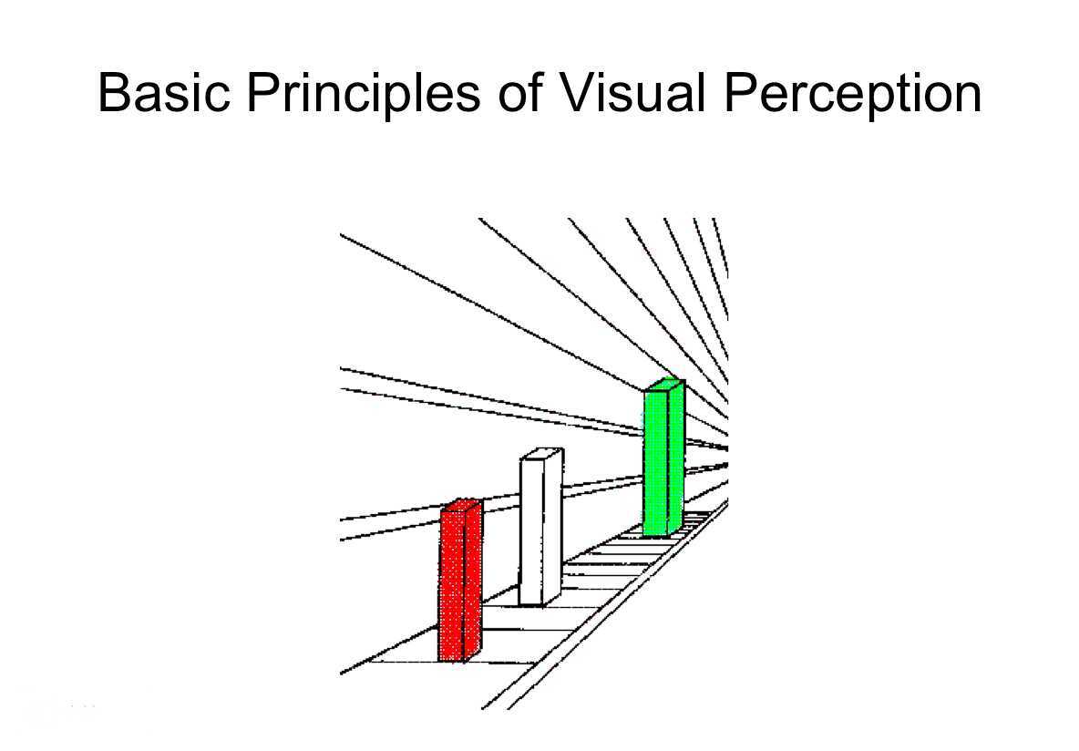Basic Principles of Perception