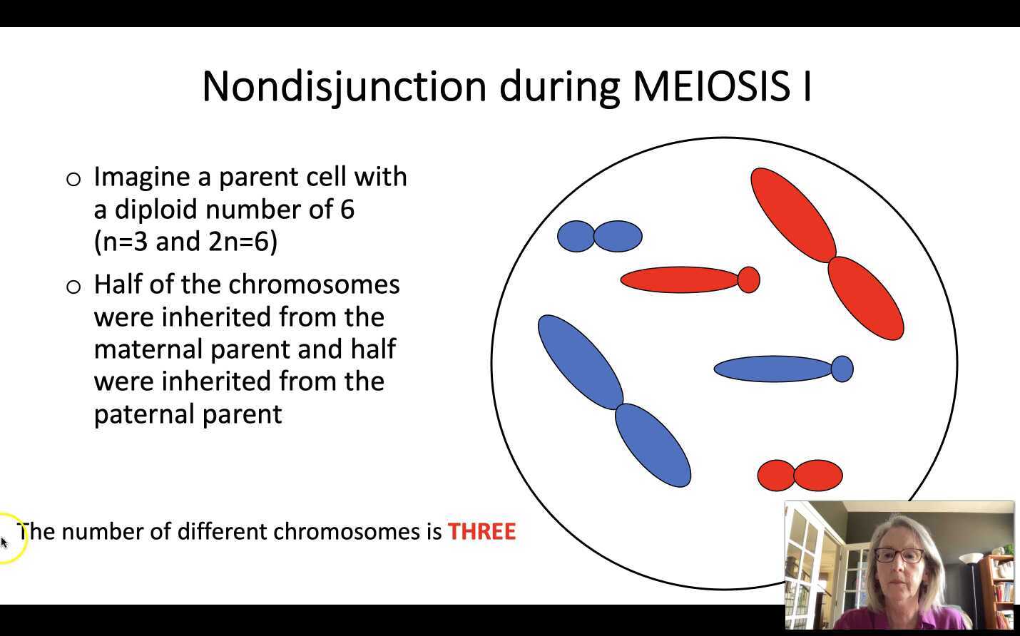 Nondisjunction Meiosis I