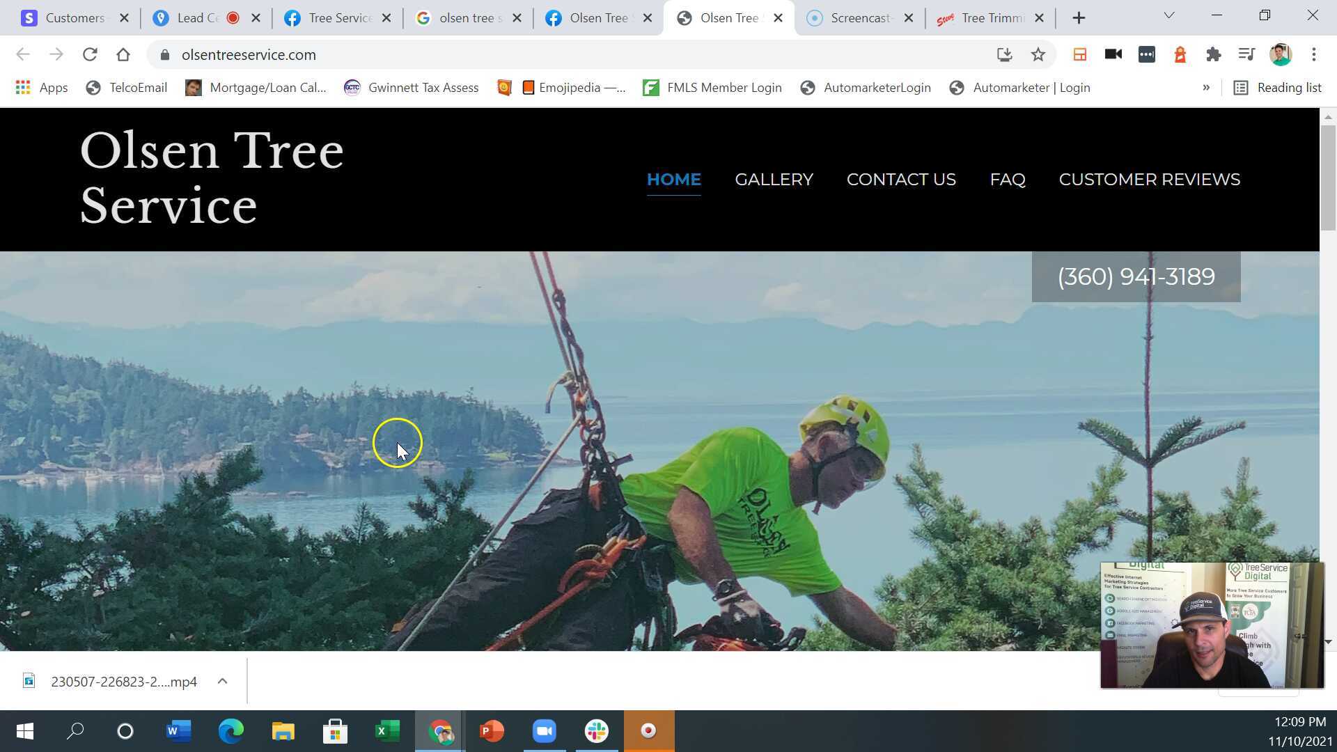 Olson Tree Olsen Tree Service