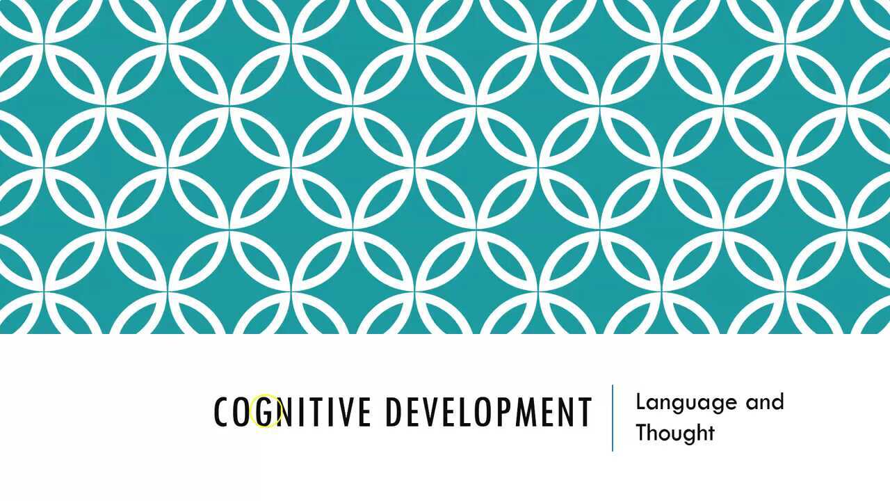 LS Infant Cognitive Development (2)