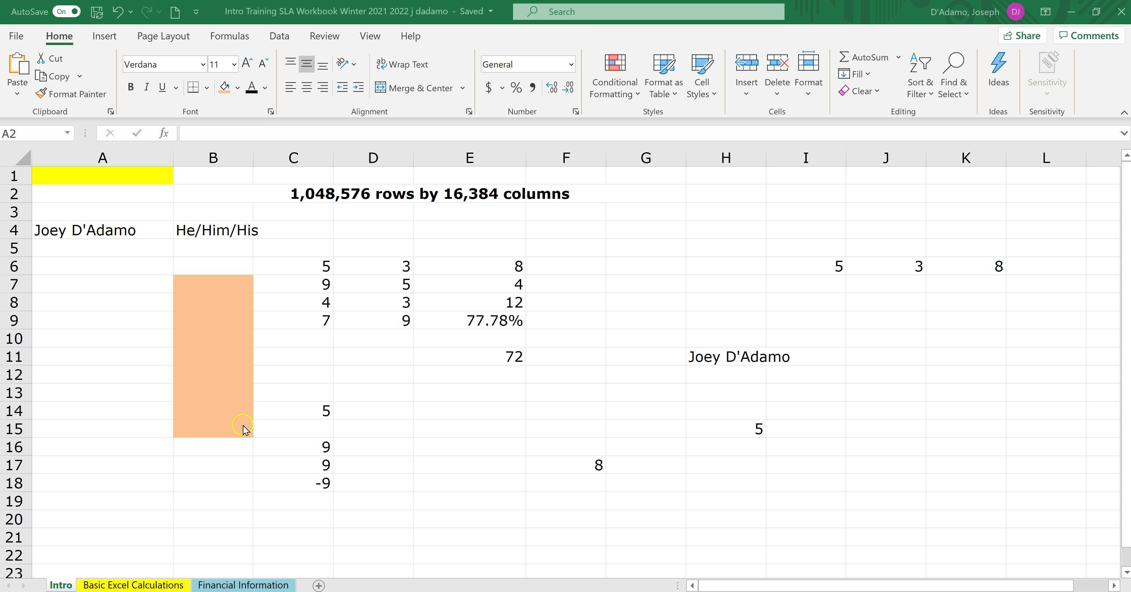 Basic Excel Calculations