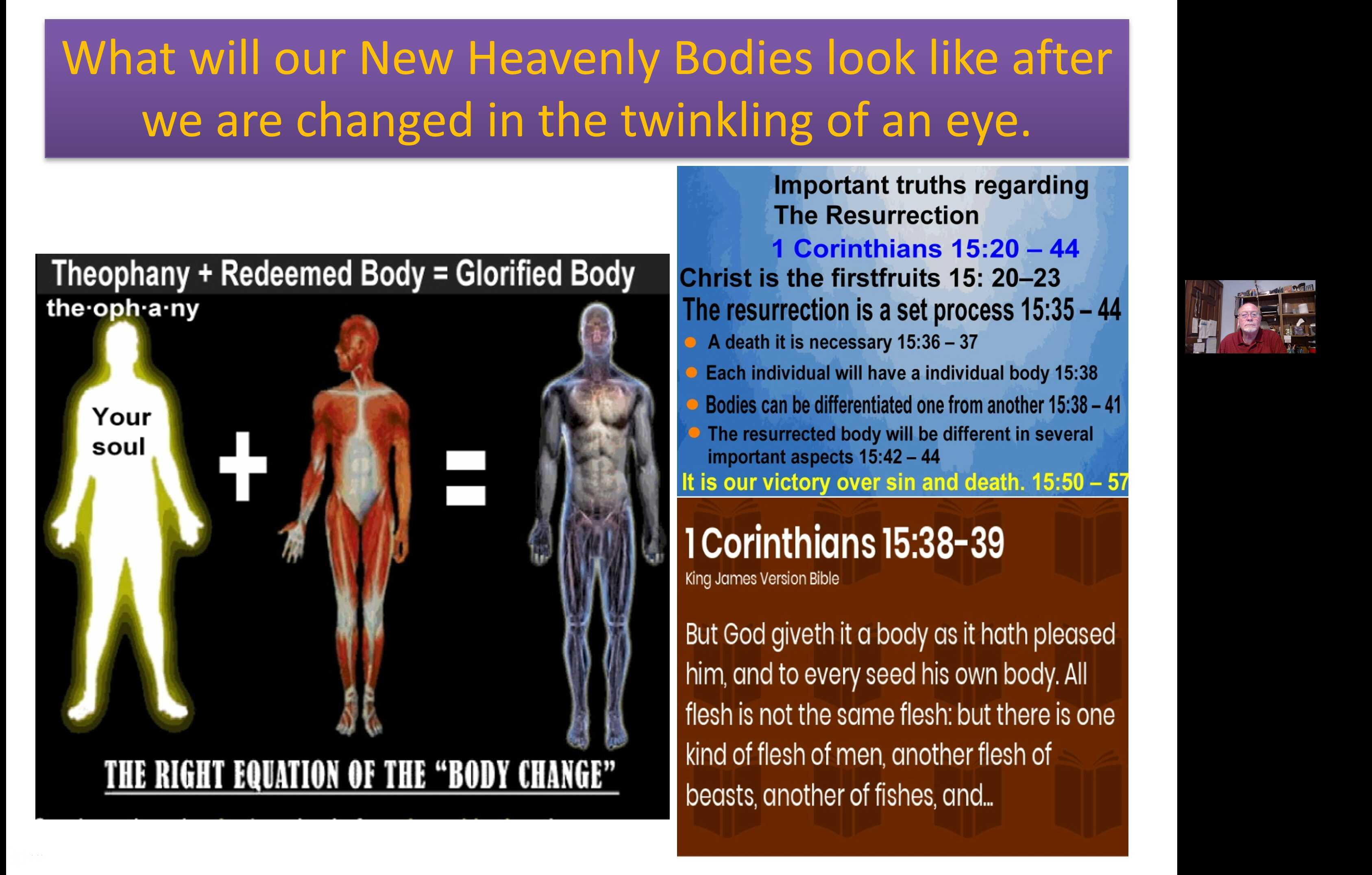 What will our New Heavenly Bodies look like