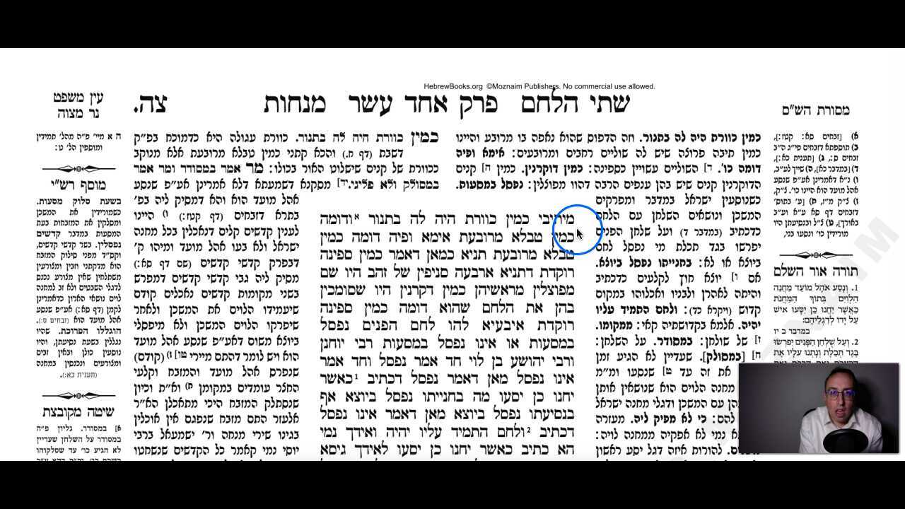 Menachos Daf 95a Daf Yomi Gemara (Talmud) Meseches Menachos Mesechet Menachot Masechet Menahot