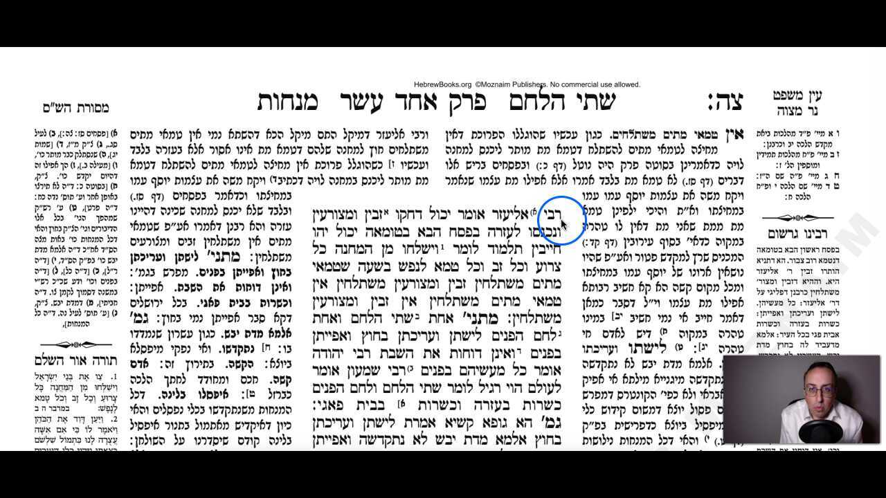 Menachos Daf 95b Daf Yomi Gemara (Talmud) Meseches Menachos Mesechet Menachot Masechet Menahot