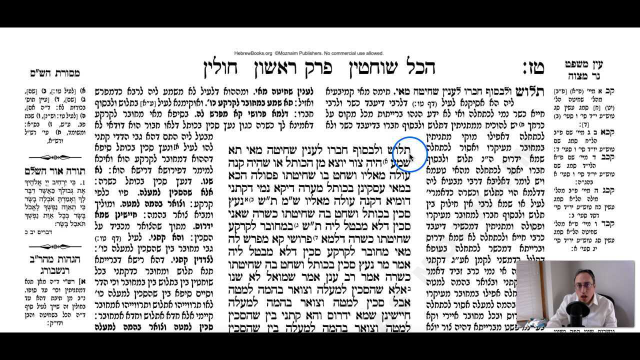 Chullin Daf 16b Daf Yomi Gemara (Talmud) Meseches Chullin Mesechet Chulin Masechet Hullin