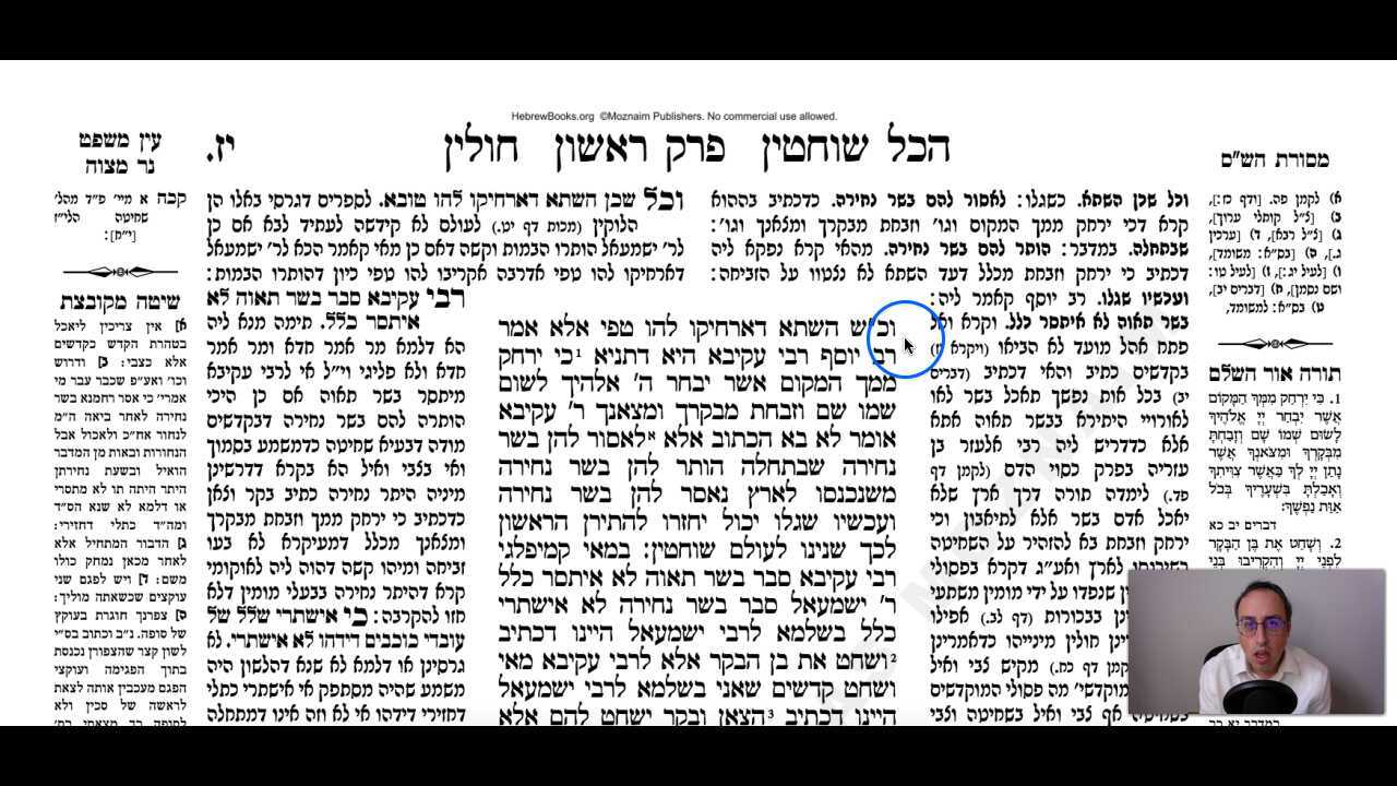 Chullin Daf 17a Daf Yomi Gemara (Talmud) Meseches Chullin Mesechet Chulin Masechet Hullin