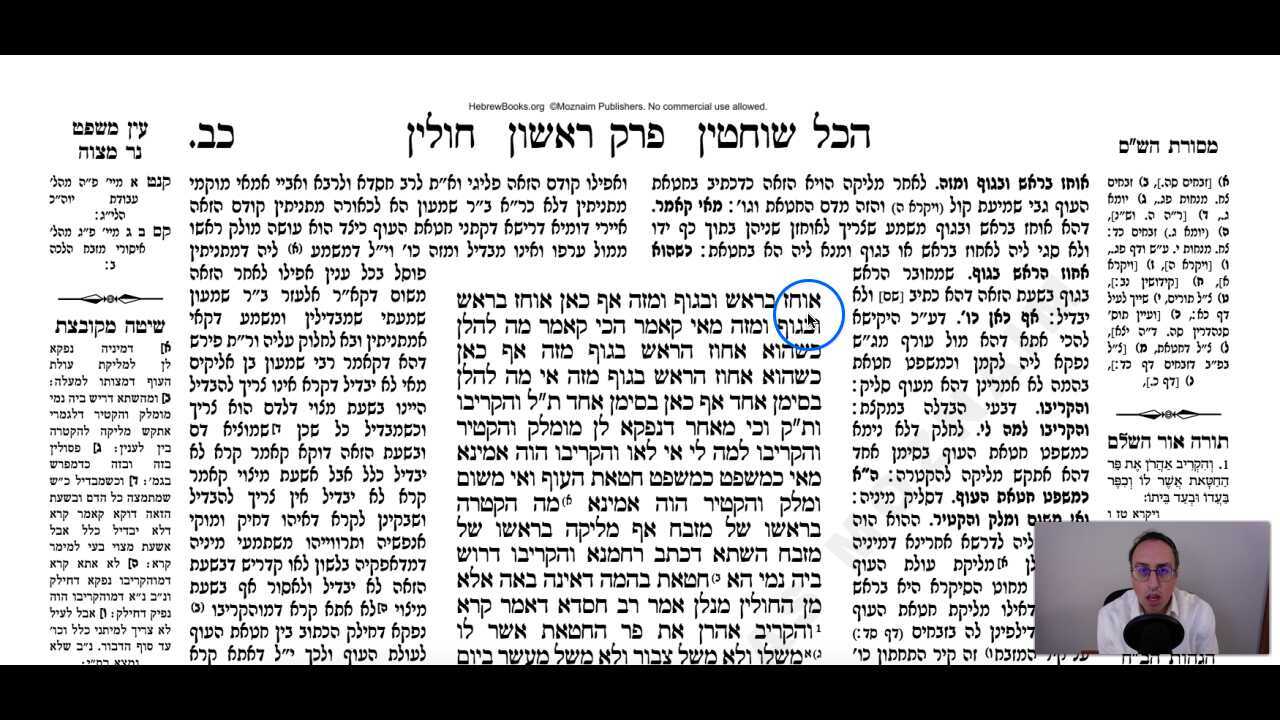 Chullin Daf 22a Daf Yomi Gemara (Talmud) Meseches Chullin Mesechet Chulin Masechet Hullin