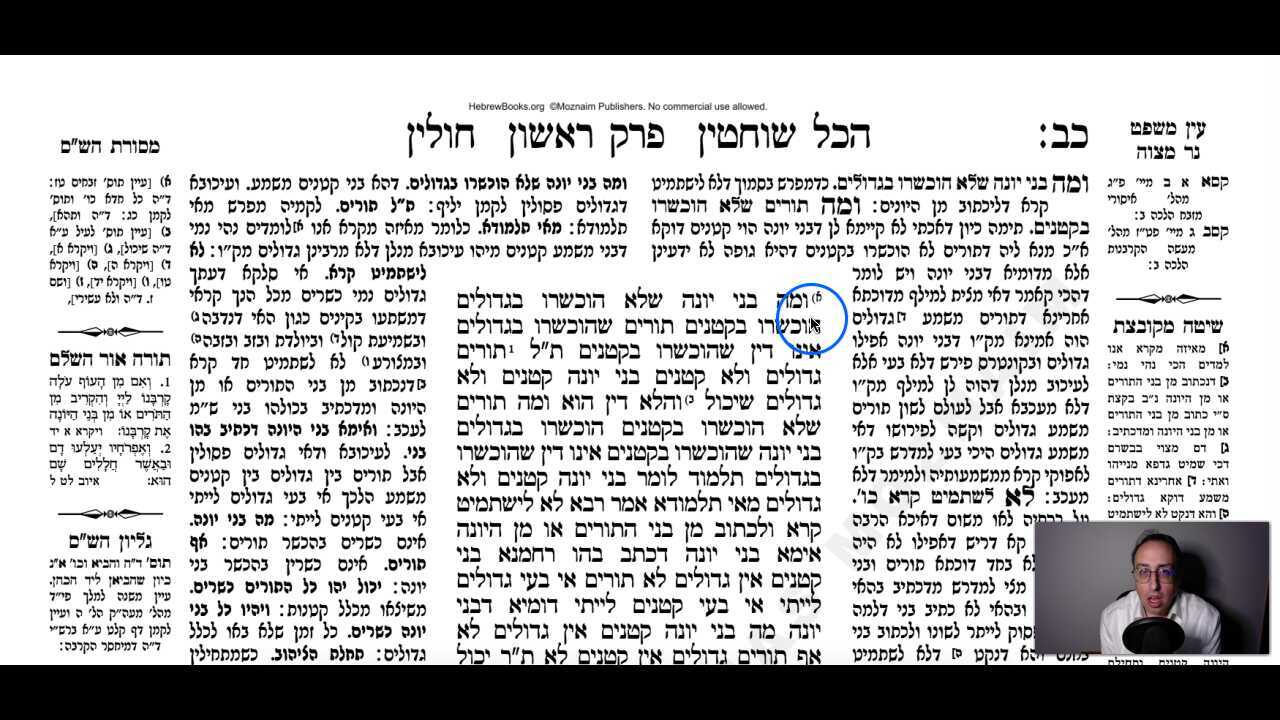 Chullin Daf 22b Daf Yomi Gemara (Talmud) Meseches Chullin Mesechet Chulin Masechet Hullin