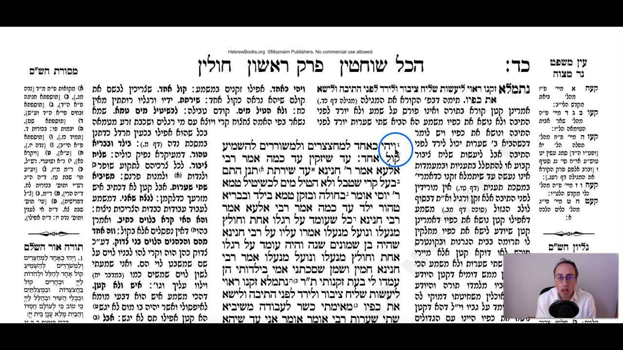 Chullin Daf 24b Daf Yomi Gemara (Talmud) Meseches Chullin Mesechet Chulin Masechet Hullin