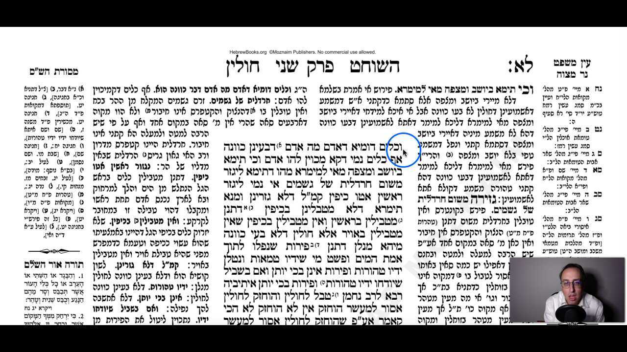 Chullin Daf 31b Daf Yomi Gemara (Talmud) Meseches Chullin Mesechet Chulin Masechet Hullin
