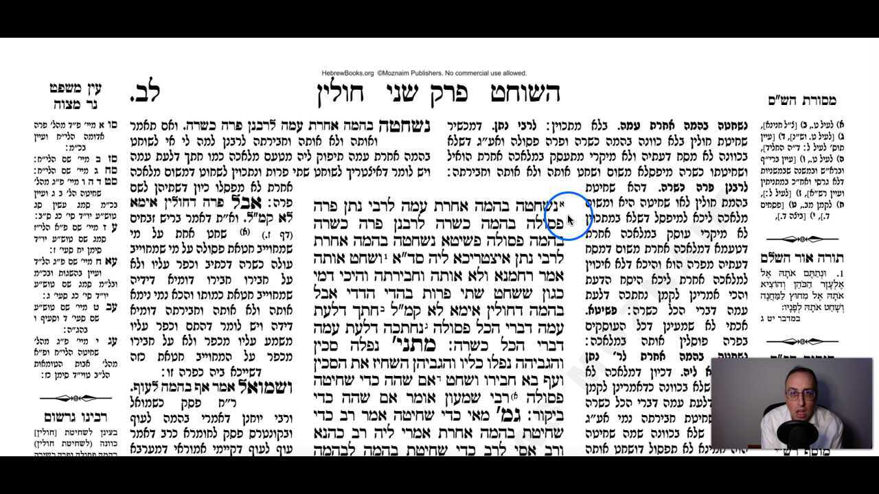 Chullin Daf 32a Daf Yomi Gemara (Talmud) Meseches Chullin Mesechet Chulin Masechet Hullin