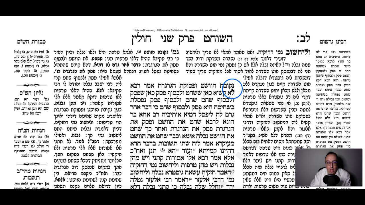 Chullin Daf 32b Daf Yomi Gemara (Talmud) Meseches Chullin Mesechet Chulin Masechet Hullin