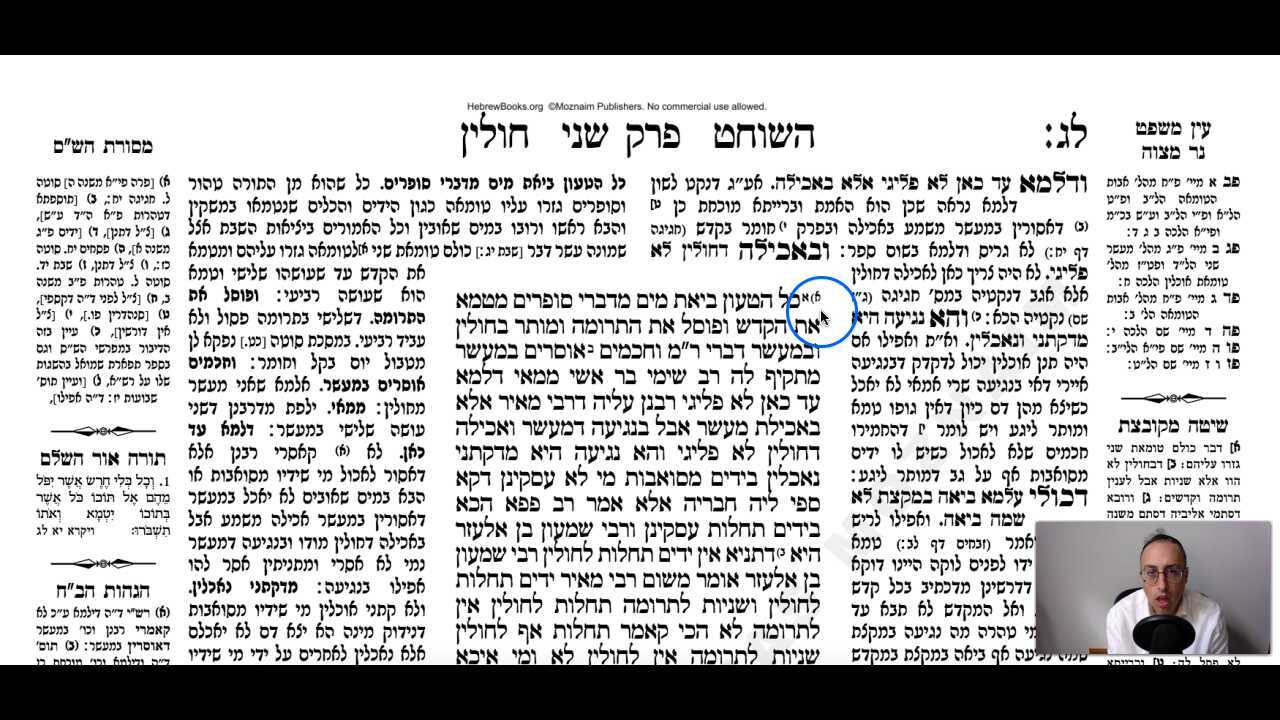 Chullin Daf 33b Daf Yomi Gemara (Talmud) Meseches Chullin Mesechet Chulin Masechet Hullin