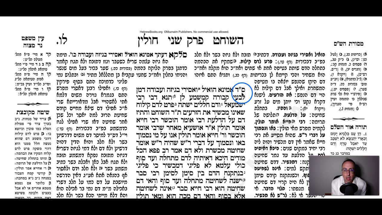 Chullin Daf 36a Daf Yomi Gemara (Talmud) Meseches Chullin Mesechet Chulin Masechet Hullin