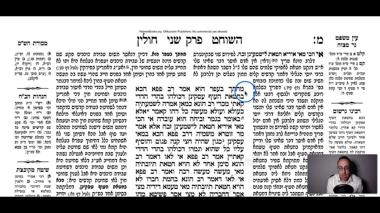 Chullin Daf 40b Daf Yomi Gemara (Talmud) Meseches Chullin Mesechet Chulin Masechet Hullin