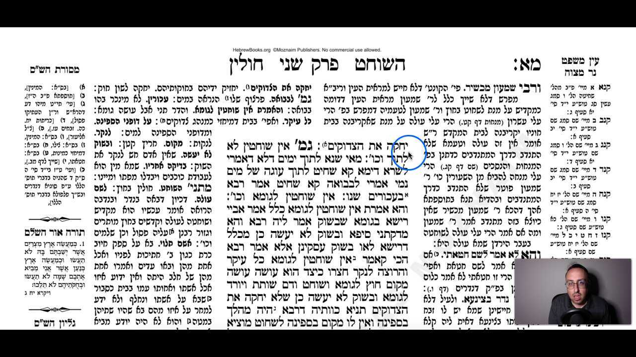 Chullin Daf 41b Daf Yomi Gemara (Talmud) Meseches Chullin Mesechet Chulin Masechet Hullin