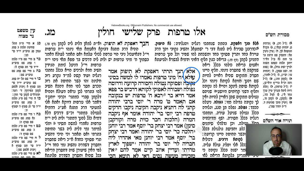 Chullin Daf 43a Daf Yomi Gemara (Talmud) Meseches Chullin Mesechet Chulin Masechet Hullin