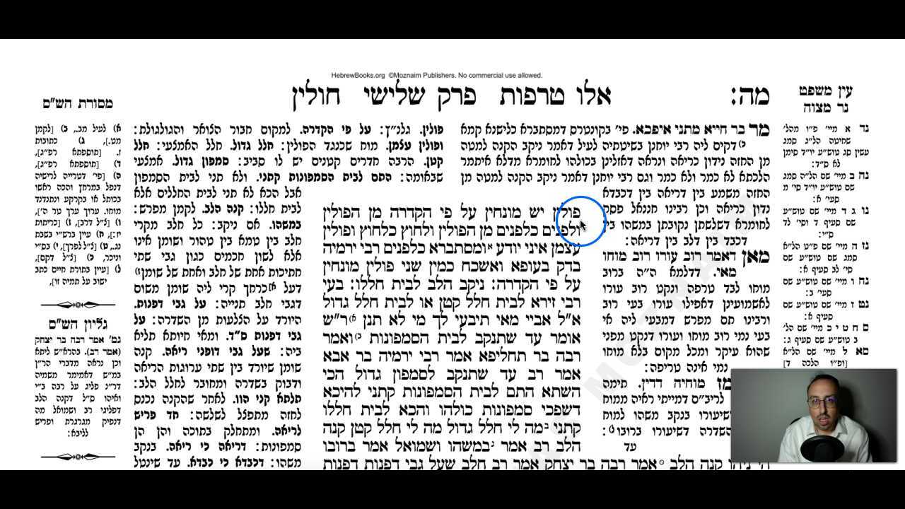 Chullin Daf 45b Daf Yomi Gemara (Talmud) Meseches Chullin Mesechet Chulin Masechet Hullin